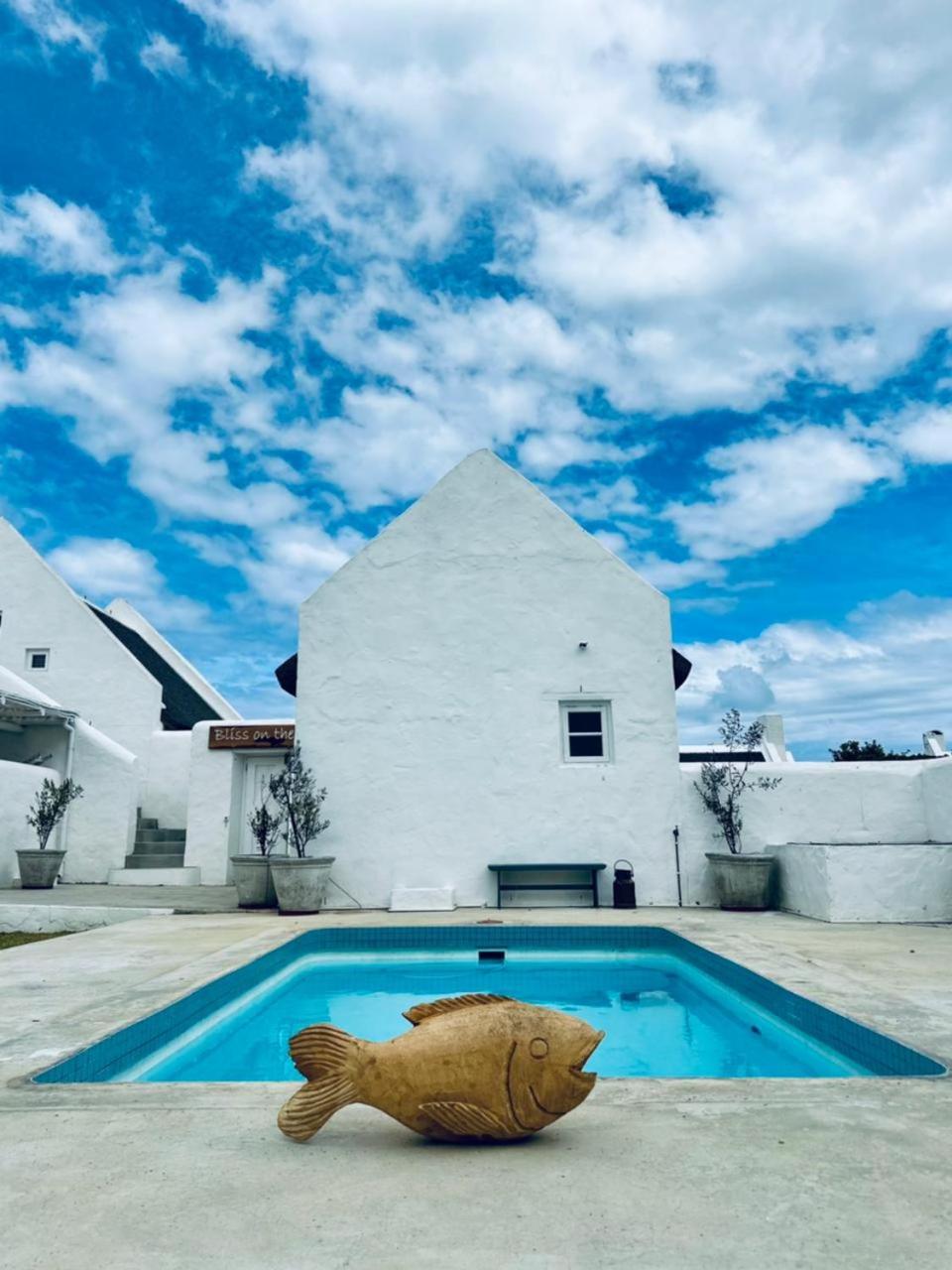 Villa Bliss On The Bay à Struisbaai Extérieur photo
